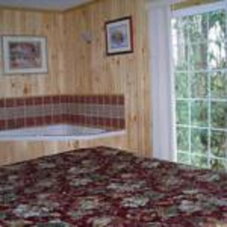 Cabins At Twinbrook Resort Maggie Valley Extérieur photo